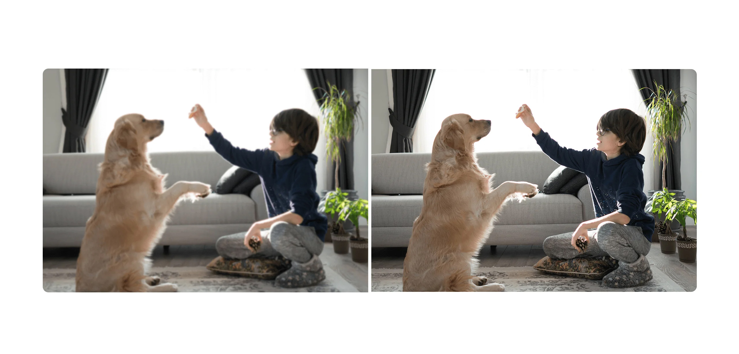 دوربین با کیفیت 2K